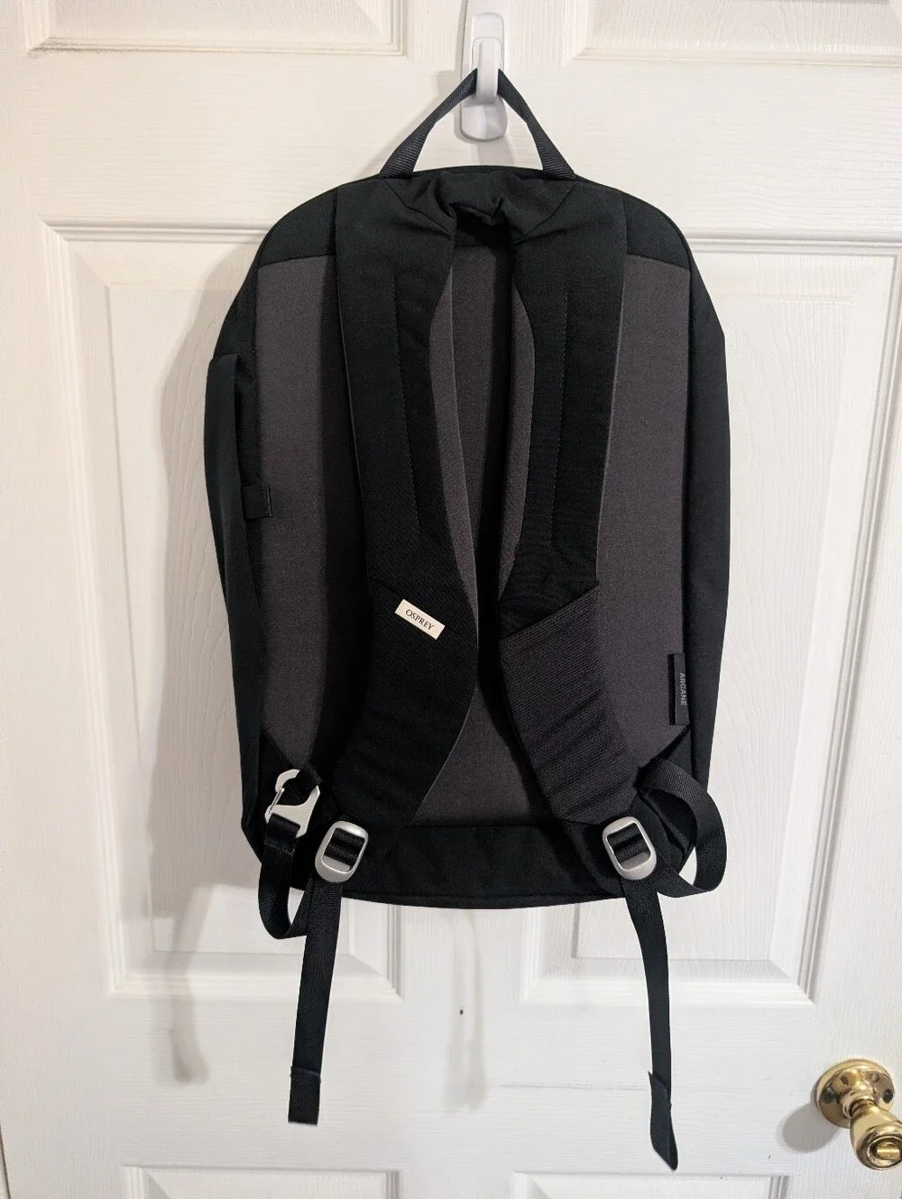 OSPREY this backpack